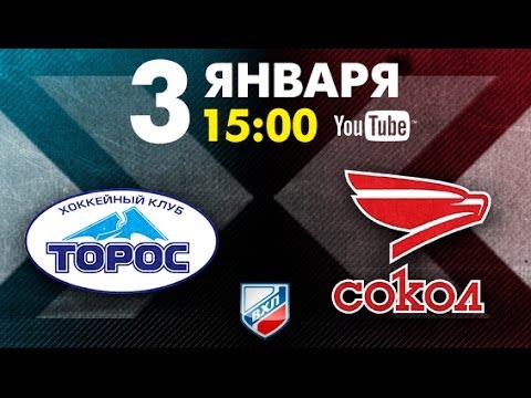 Торос - Сокол Красноярск. Обзор матча