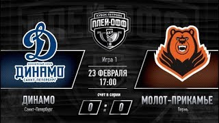 Динамо Санкт-Петербург - Молот-Прикамье. Обзор матча