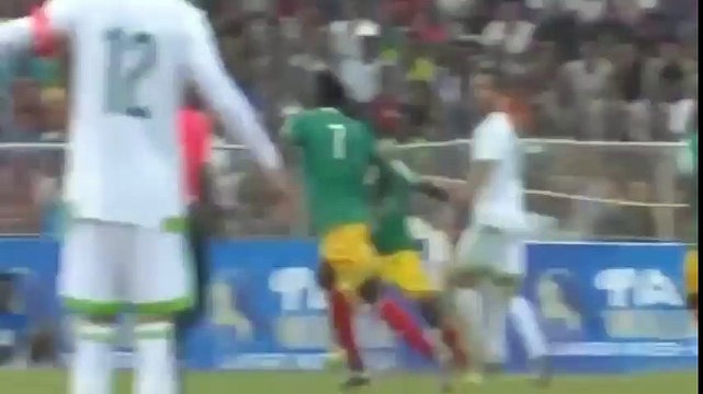 Эфиопия - Алжир. Обзор матча