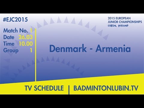 Дания - Армения. Обзор матча